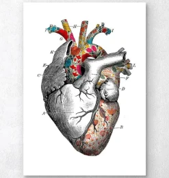 Codex Anatomicus Heart Anatomy^Floral pattern heart art - White background