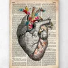 Codex Anatomicus Heart Anatomy^Floral pattern heart art - Old dictionary page