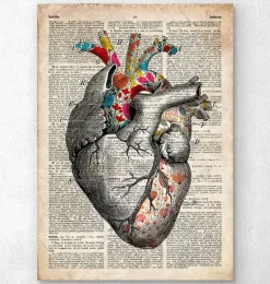 Codex Anatomicus Heart Anatomy^Floral pattern heart art - Old dictionary page