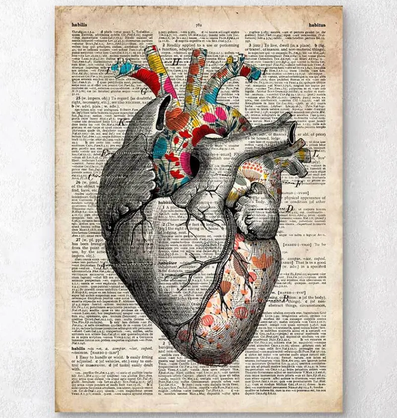 Codex Anatomicus Heart Anatomy^Floral pattern heart art - Old dictionary page