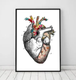 Codex Anatomicus Heart Anatomy^Floral pattern heart art - White background