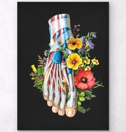 Codex Anatomicus Skull & Skeleton | Hands & Legs^Foot anatomy - Floral - Black