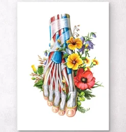 Codex Anatomicus Skull & Skeleton | Hands & Legs^Foot anatomy - Floral - White