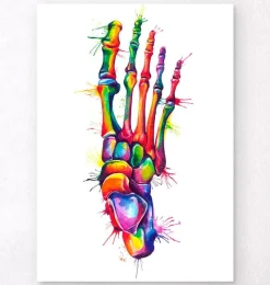 Codex Anatomicus Skull & Skeleton | Hands & Legs^Foot anatomy - Watercolor splash