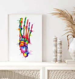 Codex Anatomicus Skull & Skeleton | Hands & Legs^Foot anatomy - Watercolor splash