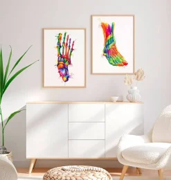 Codex Anatomicus Skull & Skeleton | Hands & Legs^Foot anatomy - Watercolor splash