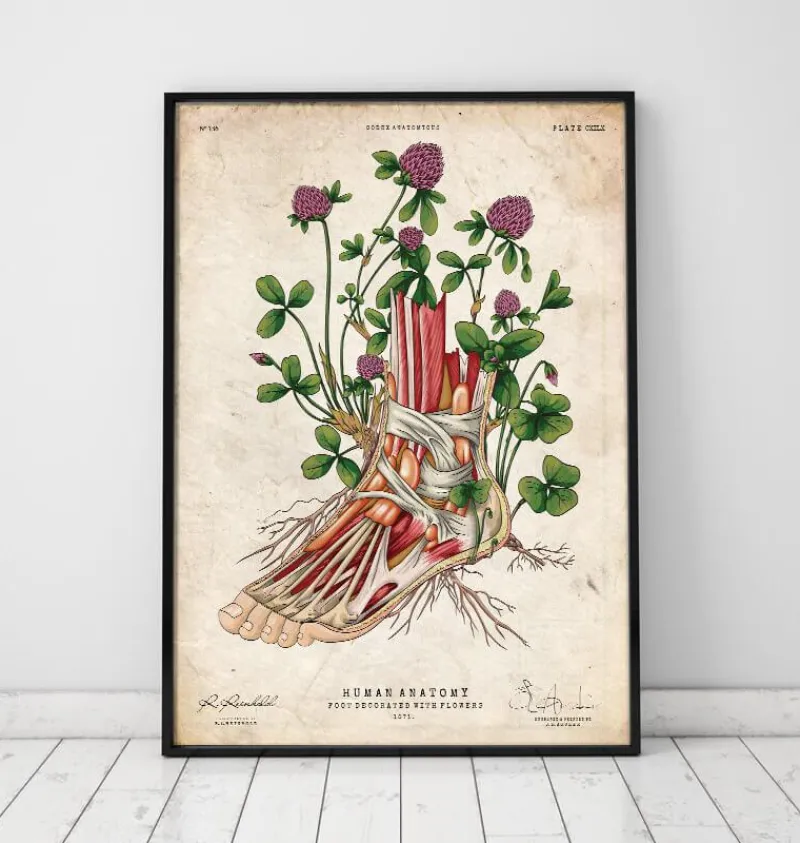 Codex Anatomicus Hands & Legs^Foot anatomy art - Floral - Vintage