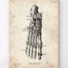 Codex Anatomicus Hands & Legs^Foot anatomy art print II