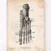 Codex Anatomicus Hands & Legs^Foot anatomy art print IV