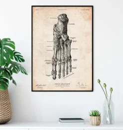 Codex Anatomicus Hands & Legs^Foot anatomy art print IV
