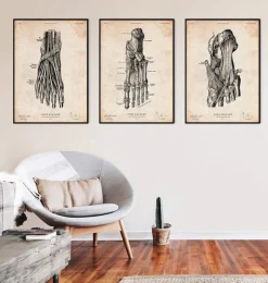 Codex Anatomicus Hands & Legs^Foot anatomy art print IV