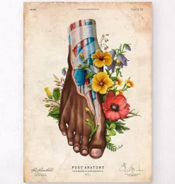 Codex Anatomicus Skull & Skeleton | Hands & Legs^Foot anatomy II - Floral - Vintage