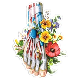 Codex Anatomicus Stickers^Foot anatomy sticker - Floral
