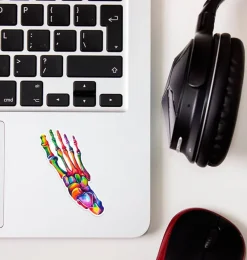 Codex Anatomicus Stickers^Foot anatomy sticker - Watercolor Splash
