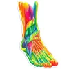 Codex Anatomicus Stickers^Foot anatomy sticker II - Watercolor Splash