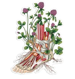 Codex Anatomicus Stickers^Foot anatomy sticker II - Floral