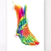 Codex Anatomicus Skull & Skeleton | Hands & Legs^Foot and ankle anatomy - Watercolor splash
