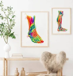 Codex Anatomicus Skull & Skeleton | Hands & Legs^Foot and ankle anatomy - Watercolor splash