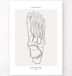 Codex Anatomicus Skull & Skeleton^Foot skeleton - Line Art