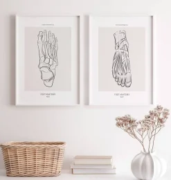 Codex Anatomicus Skull & Skeleton^Foot skeleton - Line Art