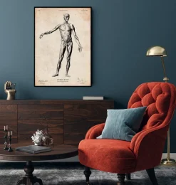 Codex Anatomicus Full Body Anatomy^Full body human anatomy print