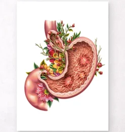 Codex Anatomicus Digestive System^Gastric ulcers - Floral - White