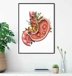 Codex Anatomicus Digestive System^Gastric ulcers - Floral - White