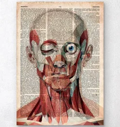 Codex Anatomicus Head & Face^Geometric face anatomy - Old dictionary page
