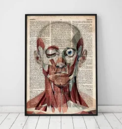 Codex Anatomicus Head & Face^Geometric face anatomy - Old dictionary page