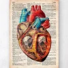 Codex Anatomicus Heart Anatomy^Geometric heart anatomy - Old dictionary page