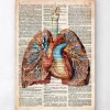 Codex Anatomicus Lungs Anatomy | Heart Anatomy^Geometric heart and lungs - Old dictionary page