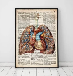 Codex Anatomicus Lungs Anatomy | Heart Anatomy^Geometric heart and lungs - Old dictionary page