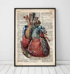 Codex Anatomicus Heart Anatomy^Geometric heart II - Old dictionary page