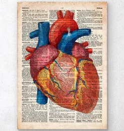 Codex Anatomicus Heart Anatomy^Geometric heart III - Old dictionary page