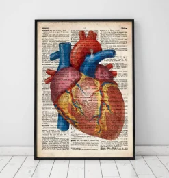 Codex Anatomicus Heart Anatomy^Geometric heart III - Old dictionary page