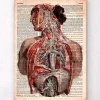 Codex Anatomicus Full Body Anatomy | Brain Anatomy^Geometric human anatomy - Old dictionary page