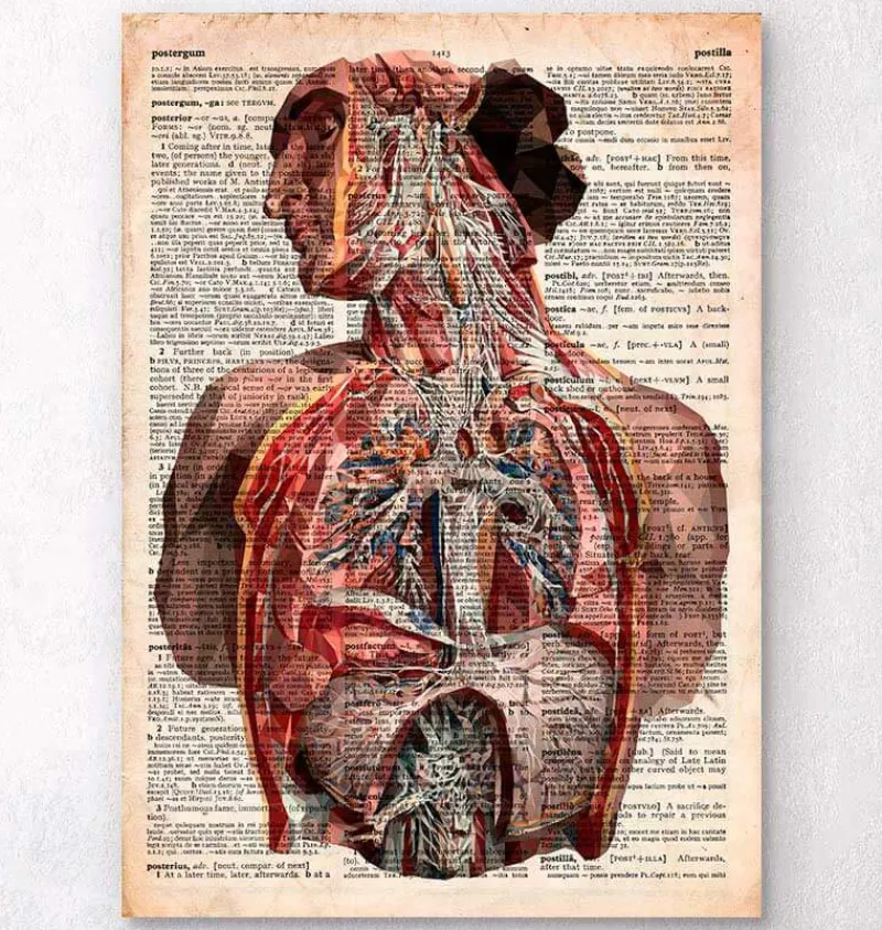 Codex Anatomicus Full Body Anatomy | Brain Anatomy^Geometric human anatomy - Old dictionary page