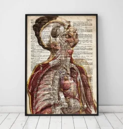 Codex Anatomicus Various Organs | Full Body Anatomy^Geometric human anatomy II - Old dictionary page