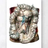 Codex Anatomicus Various Organs^Geometric intestines anatomy