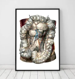 Codex Anatomicus Various Organs^Geometric intestines anatomy
