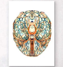 Codex Anatomicus Brain Anatomy^Geometrical brain anatomy I