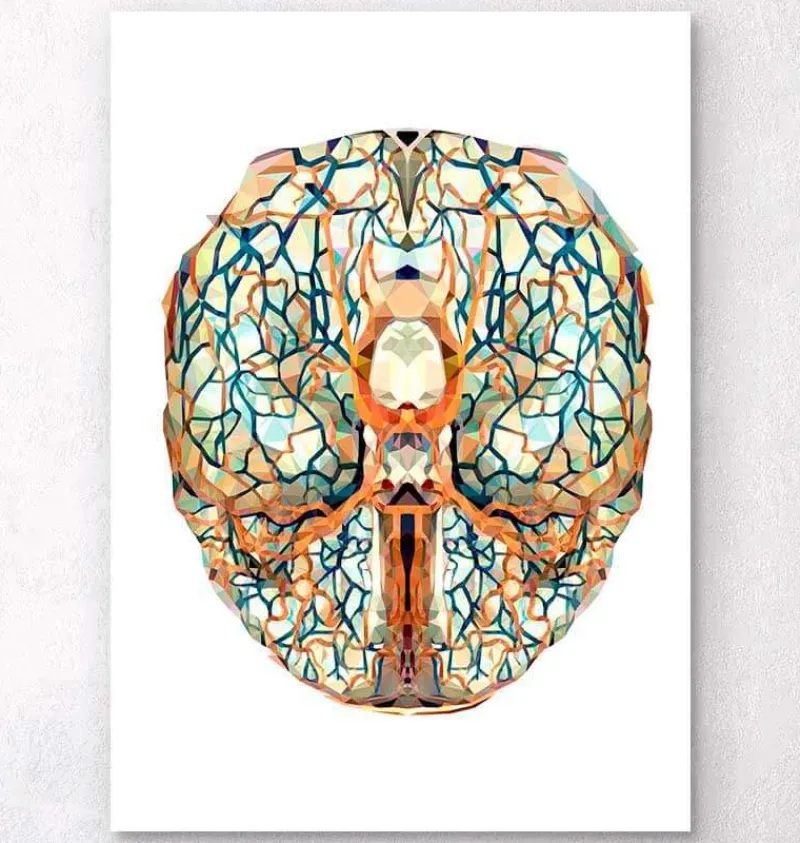 Codex Anatomicus Brain Anatomy^Geometrical brain anatomy I