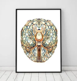 Codex Anatomicus Brain Anatomy^Geometrical brain anatomy I