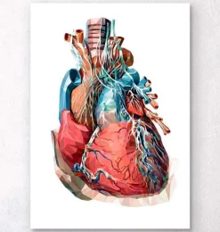 Codex Anatomicus Heart Anatomy^Geometrical heart anatomy III