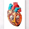 Codex Anatomicus Heart Anatomy^Geometrical heart anatomy