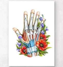 Codex Anatomicus Hands & Legs^Hand anatomy - Floral - White