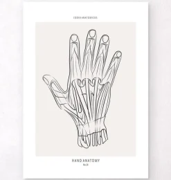 Codex Anatomicus Hands & Legs^Hand anatomy - Line Art