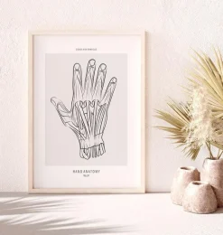 Codex Anatomicus Hands & Legs^Hand anatomy - Line Art