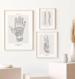 Codex Anatomicus Hands & Legs^Hand anatomy - Line Art