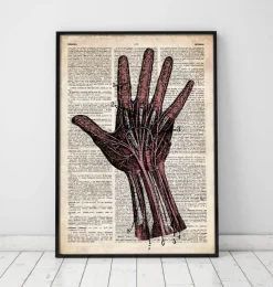 Codex Anatomicus Hands & Legs^Hand anatomy - Old dictionary page